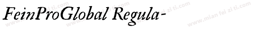 FeinProGlobal Regula字体转换